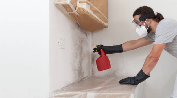 Professional Bathroom Mold Removal technician working in Orviston, PA