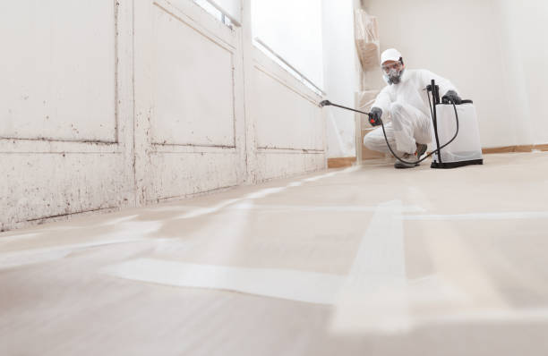 24/7 Emergency Bathroom Mold Removal experts in Orviston, PA